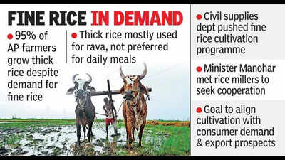 AP govt pushes for shift to fine rice cultivation | Vijayawada News ...