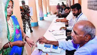 EC to carry out door-to-door check for Bihar voter roll review