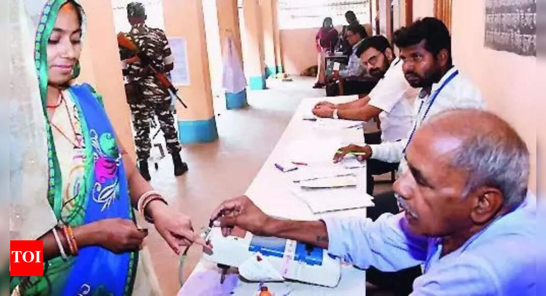 EC to carry out door-to-door check for Bihar voter roll review