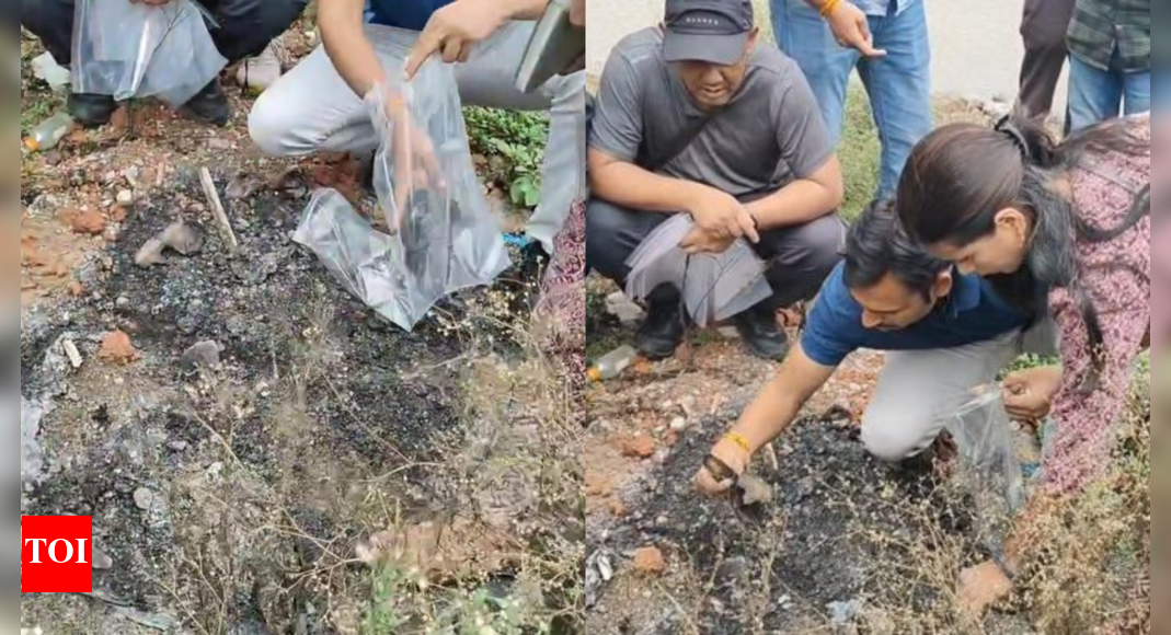 Honeymoon murder: Raja Raghuvanshi's bag destroyed; auto driver link in probe