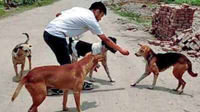  Bengal govt asks schools to feed stray dogs outside campuses, vaccinate them