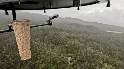 Source: Vox Why are scientists dropping mosquitoes from drones in Hawaii?