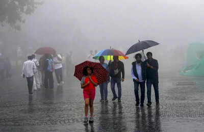Schools in Surat shut amid flood threat as rains lash Gujarat