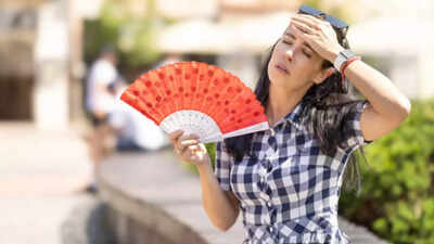  Hottest states, record temperatures, and safety tips you need now