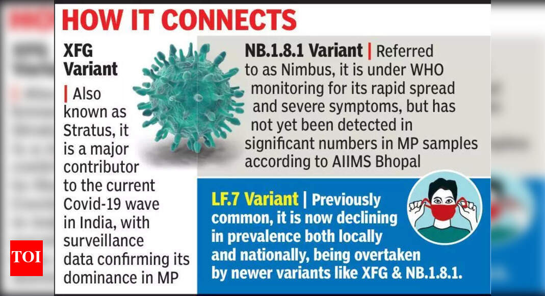 AIIMS Bhopal detects dominance of new XFG Covid variant, finds no trace ...