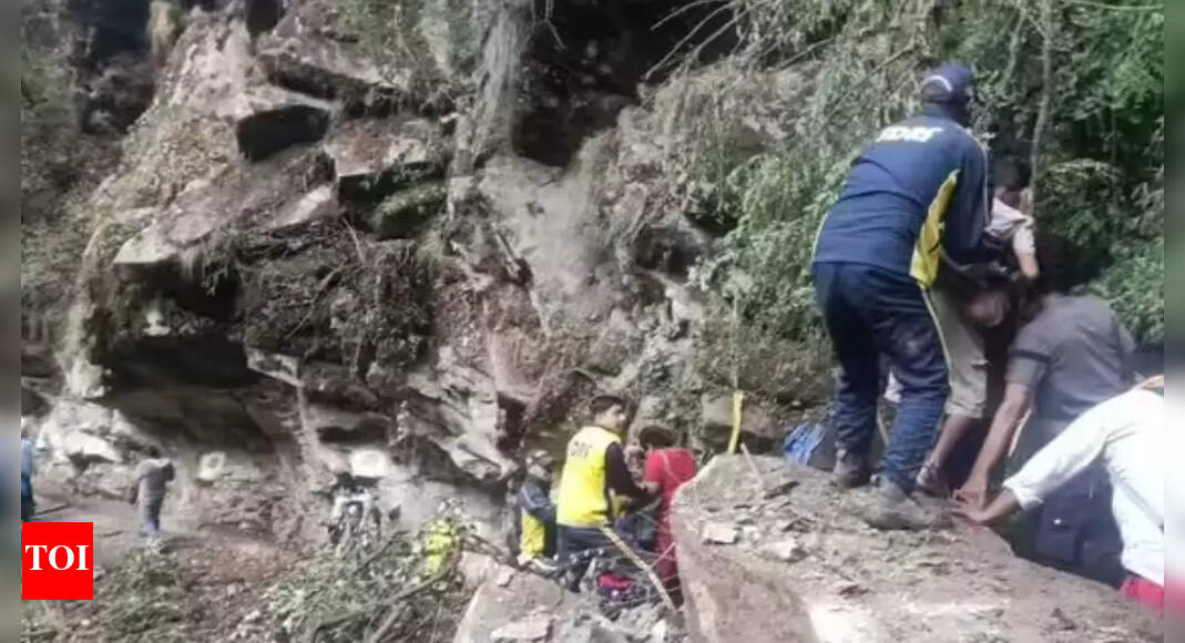 Char Dham Yatra: Landslides wreak havoc on Badrinath routes