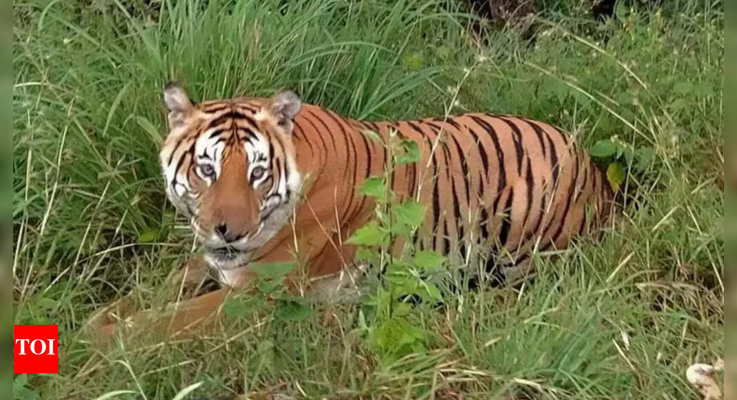 Wildlife Institute of India moves to stall pay of those who skipped yoga event, later backs off