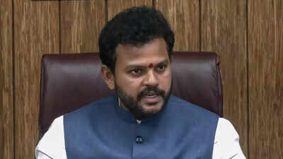  Govt says monitoring situation, says airlines compelled to cancel or reroute flights