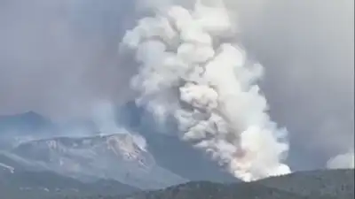 'Zero containment': Forsyth fire burns through Utah's Pine Valley; air crews, ground teams fight to contain blaze