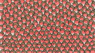 Optical illusion: Just 1% of people can spot the two hearts in this robin challenge in 5 seconds, can you?
