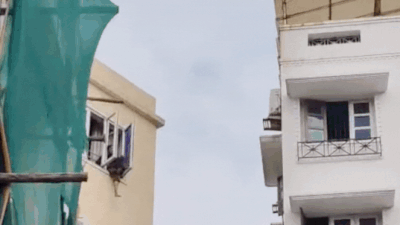  Chennai woman dragged back from window ledge; SI Meera hailed as hero - watch