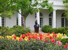 Inside the White House Rose Garden: A complete flower guide with seasonal highlights