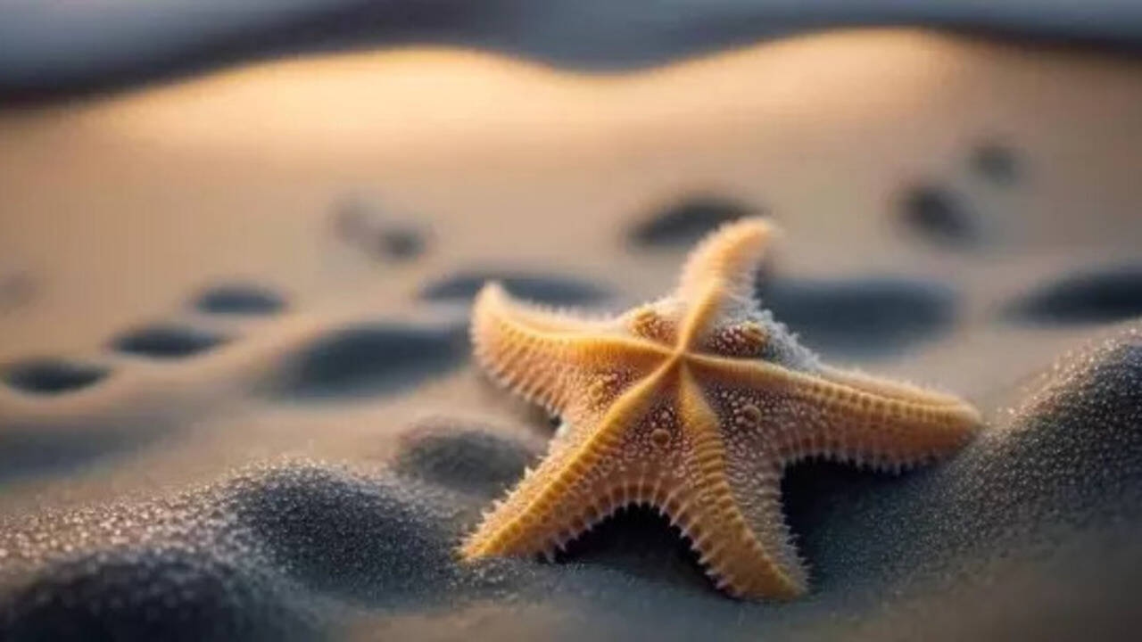 From Tails to Hearts: 10 Amazing Animals That Can Regrow Body Parts