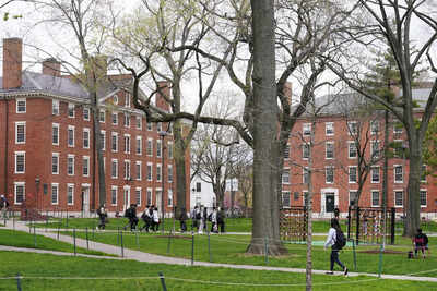 Harvard vs Caltech: Which US university sets higher academic standards?