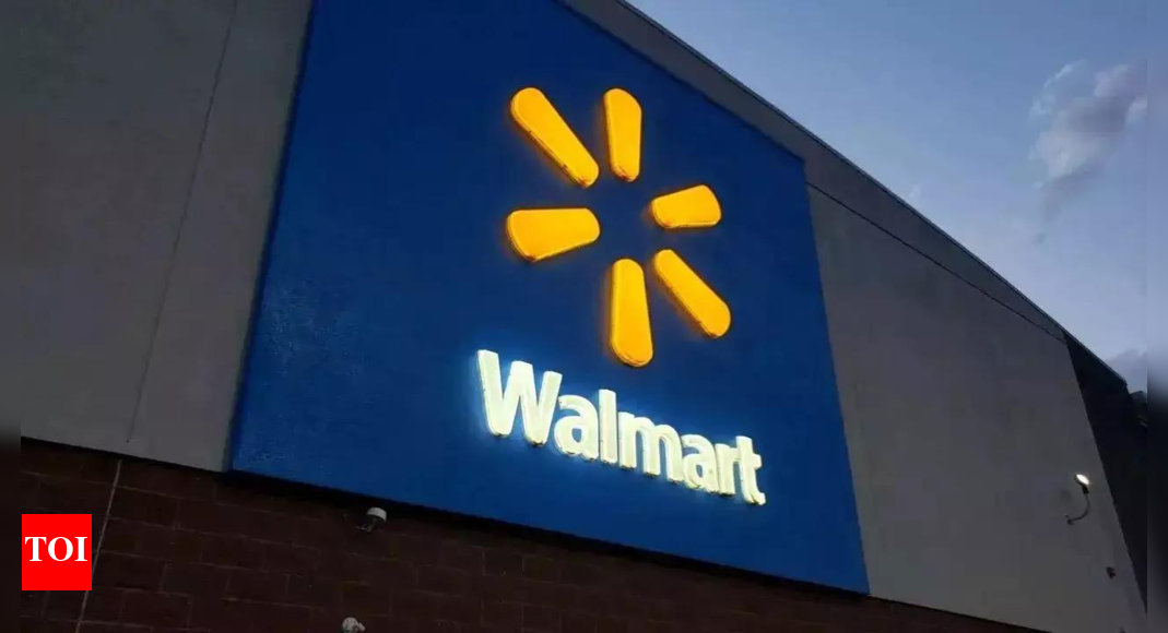 No longer chasing the brick-and-mortar stores business in India: Walmart
