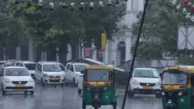 Delhi weather: Warm and humid day with rain expected