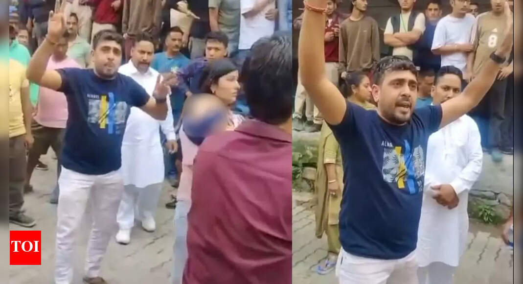 'Grabbed my wife by neck, threw her to ground': Haryana family alleges assault by locals in Manali; probe on