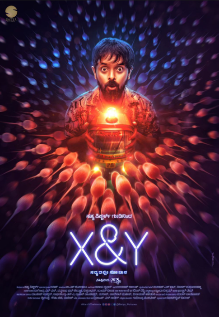 X & Y