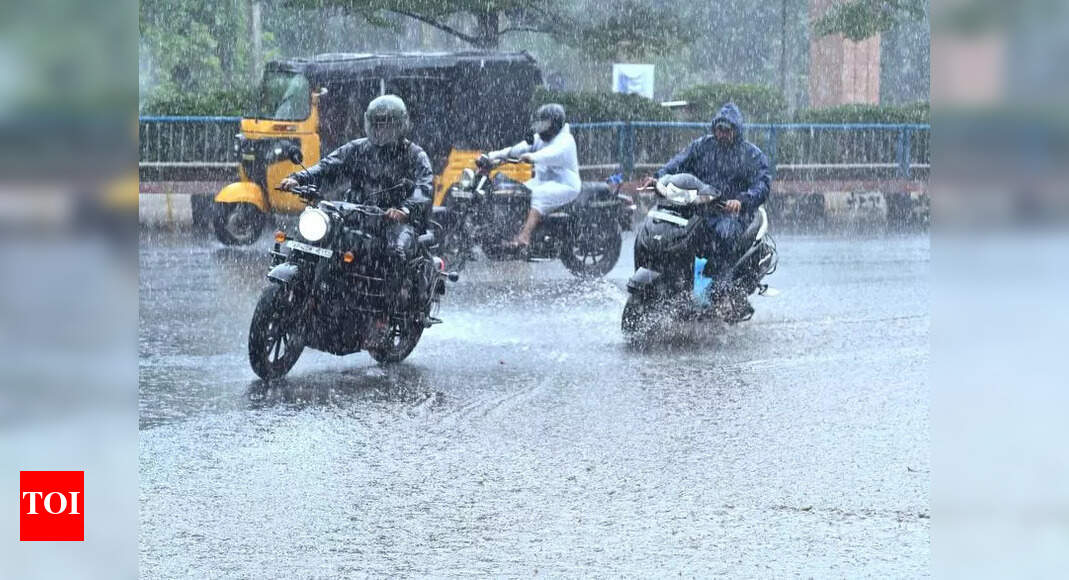 Rainfall brings relief to north coastal Andhra Pradesh