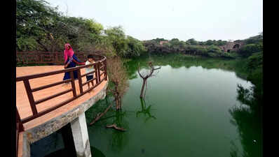 Satpula Lake Gets New Lease Of Life