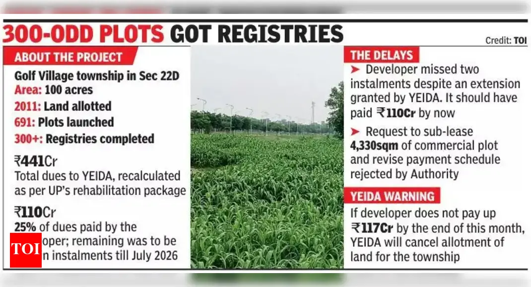 Payment delay may cost realty co 100-acre YEIDA township project