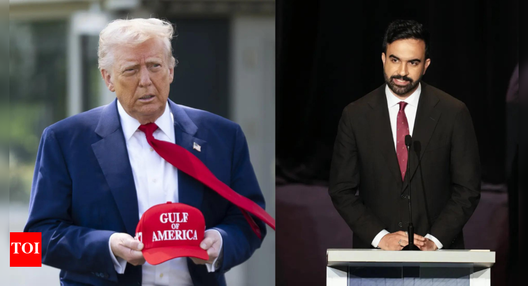 ‘100% communist lunatic’: Trump slams Zohran Mamdani after NYC primary win