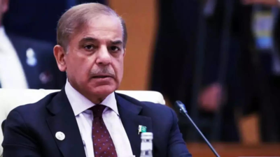  Pakistan PM Shehbaz Sharif seeks talks with India; highlights unresolved issues