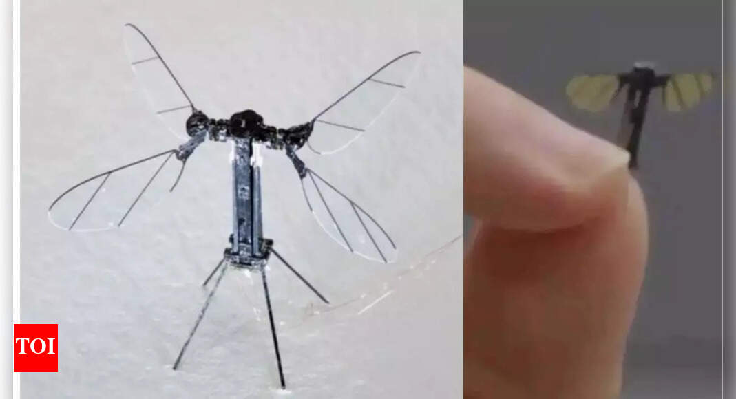 What is China's mosquito drone? Capable of capturing images, audio & electronic signals 