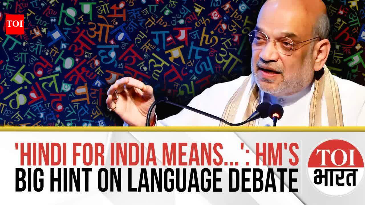'Hindi Not A Rival To Any Other Indian Language'- Amit Shah’s Big ...