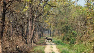 6 dangerous animals commonly spotted in India’s National Parks