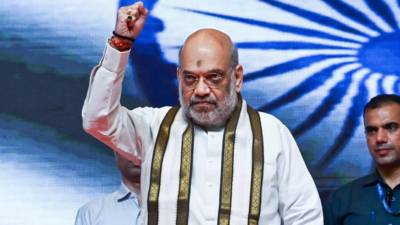 Amit Shah's big take on languages: 'Hindi friend of all'; says 'no opposition to foreign tongues'