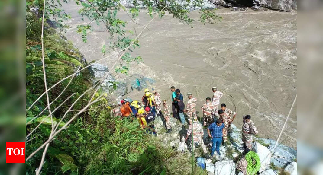 Badrinath pilgrim bus plunges into river: Three dead, nine missing