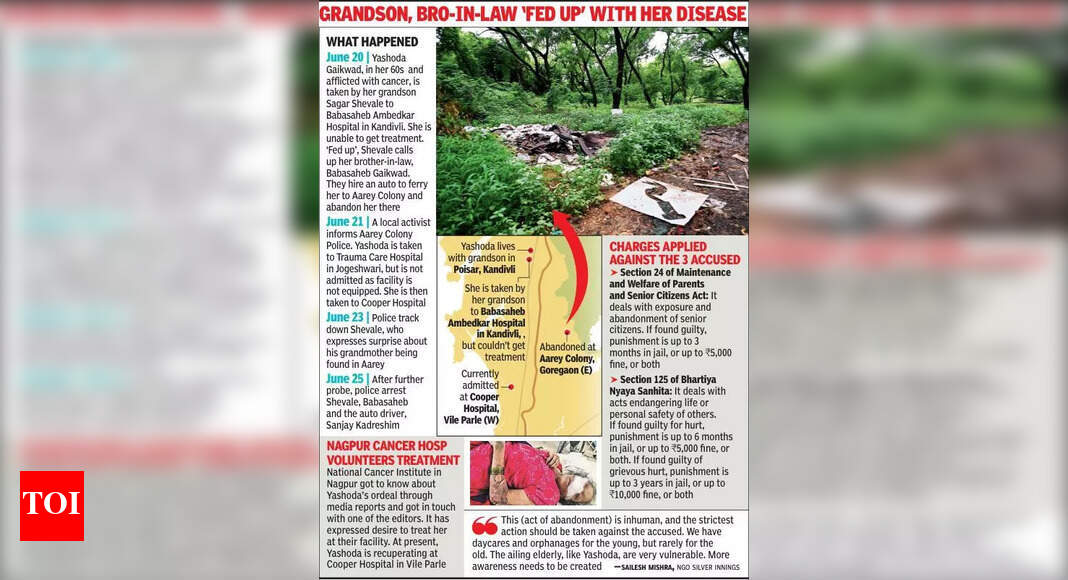 The Times of India - Business - News Image