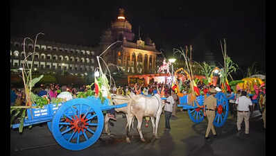 Kempegowda Jayanti: Cart-pulling oxen rekindle Bengaluru’s long-forgotten tradition