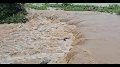 Record 122.4mm Rain Batter Washim