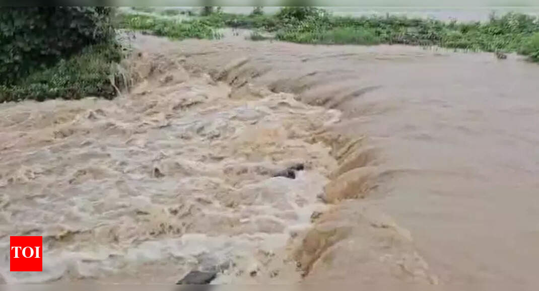 Record 122.4mm Rain Batter Washim | Nagpur News - Times of India
