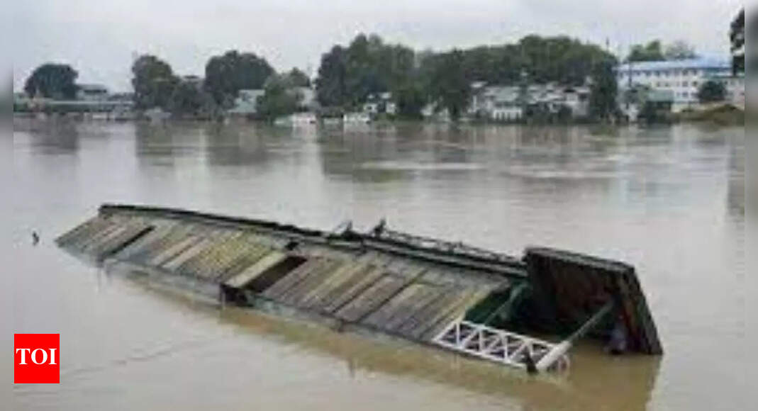 Flash floods claim 3 lives in J&K, 4 rescued | Jammu News – Times of India