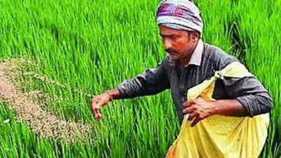 China eases urea export ban, but not for India