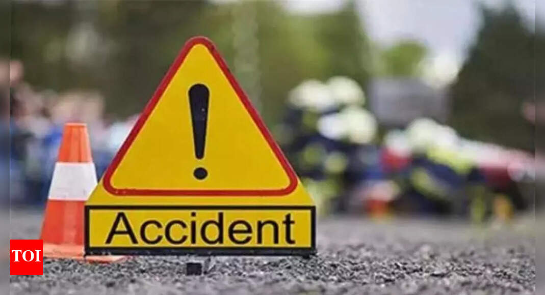 2 dead, 52 hurt after bus skids off Agra-Lucknow Expressway, falls into ditch in UP
