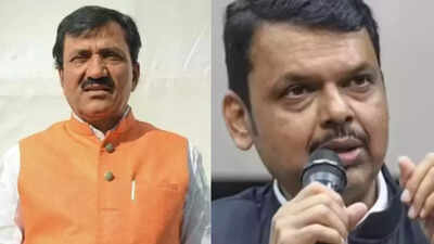 ‘PM Modi gave your father Rs 6,000, slippers on your feet are because of us’: BJP MLA’s comment sparks row; CM Fadnavis calls it ‘totally wrong’