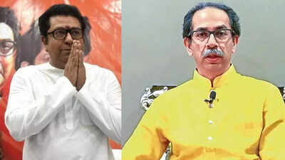  Thackeray cousins (Uddhav, Raj) to launch separate march against 'Hindi imposition' amid 'reunion' buzz; all you need to know