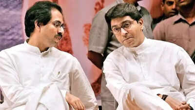 'United march against Hindi imposition': Language row to unite Thackeray brothers? What Sanjay Raut said