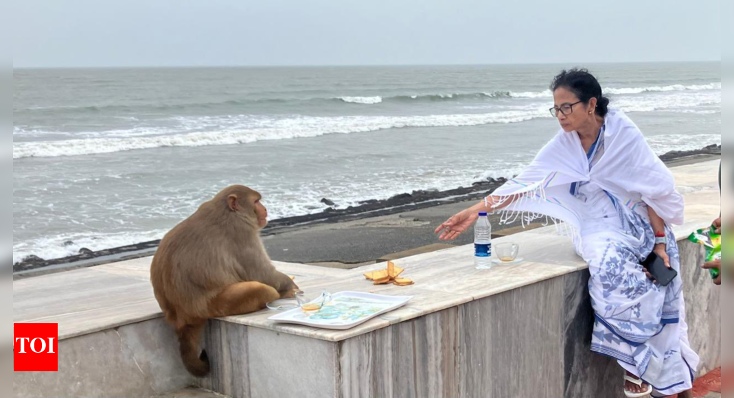 'Tea by the sea': West Bengal CM Mamata Banerjee's photo with monkey goes viral - see pics