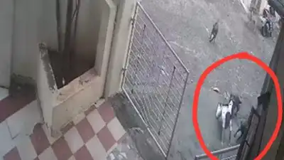  6-year-old mauled by stray dogs; locals panic, demand action