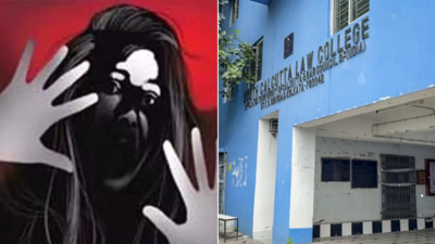  'Forceful penetration, bite marks' - What medical exam revealed