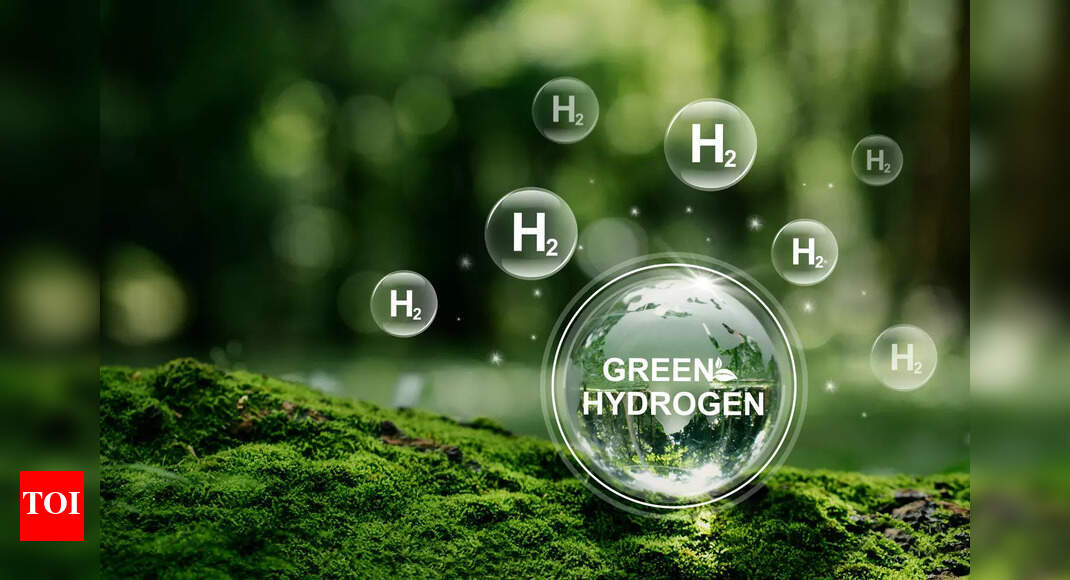 Distinctive Registration Plates for Hydrogen-Fuelled Vehicles in New Delhi