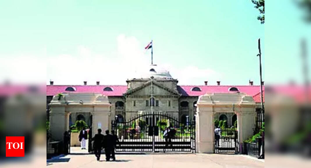 ‘Live-in ties against Indian middle-class values’: Allahabad HC on bail plea in rape-on-marriage-pledge c