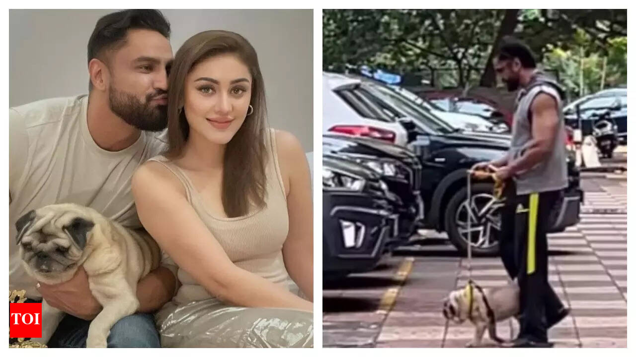 Shefali Jariwala death: Heartbroken Parag Tyagi makes first appearance with  their pet dog Simba after her demise | - Times of India