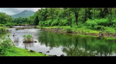 For Mumbai’s water supply, yet another dam in the Western Ghats set to submerge forests & villages