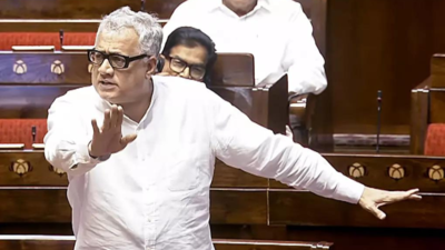 ‘Trying to bring NRC in from back door’: Derek O’Brien targets Election Commission; cites ‘Nazi Ancestor Pass’